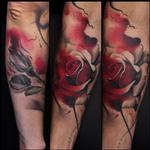 Tattoos - Watercolor roses (healed) - 109887